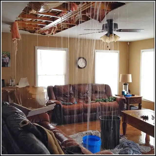 Water Damage Restoration services in Jefferson City, TN